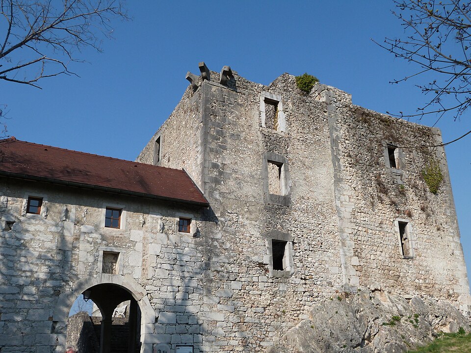 Chateau de Rochefort sur Séran — 1