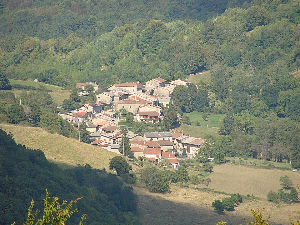 Nivollet