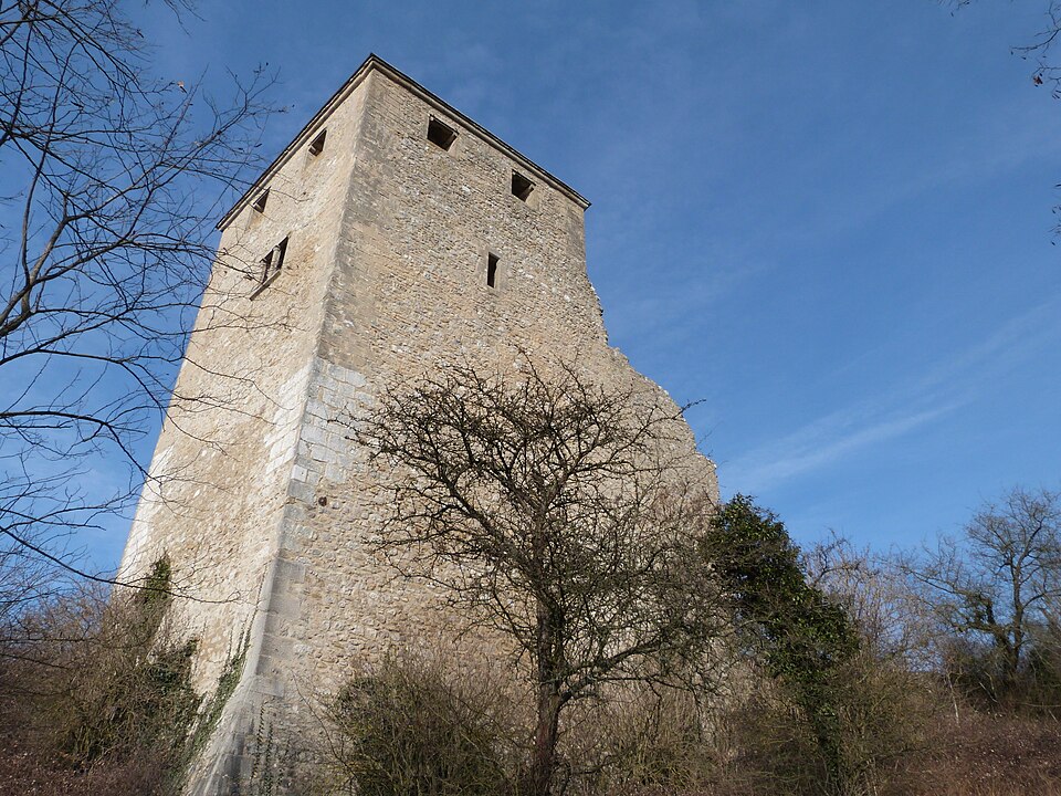 Château de Saint — Denis — en — Bugey1