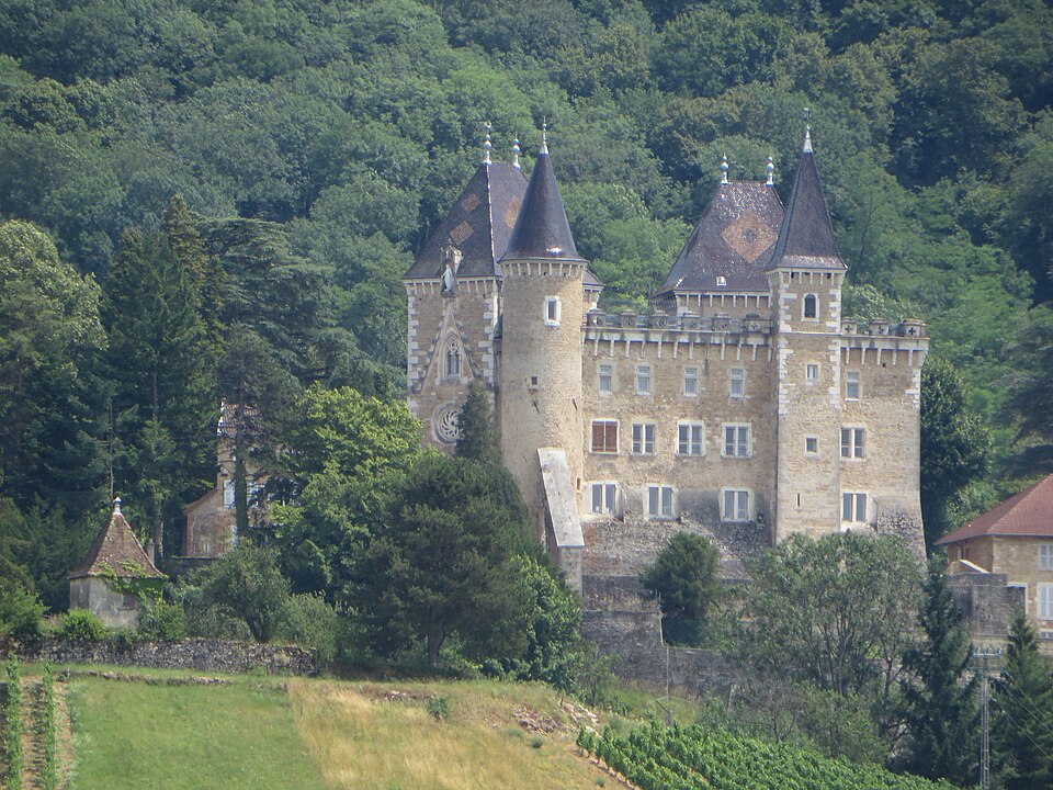 Saint — Jean — le — Vieux — Château de Varey (3 — 2014) 2014 — 06 — 28 13.40.57