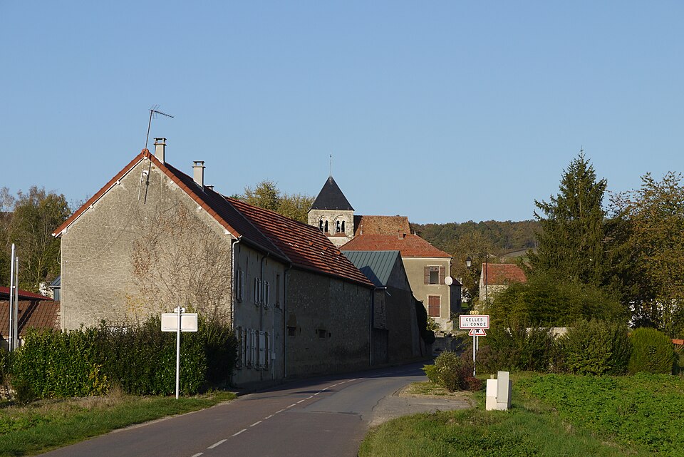 Celles lès condé (1)
