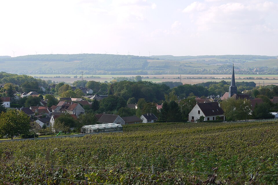 Nesles la montagne