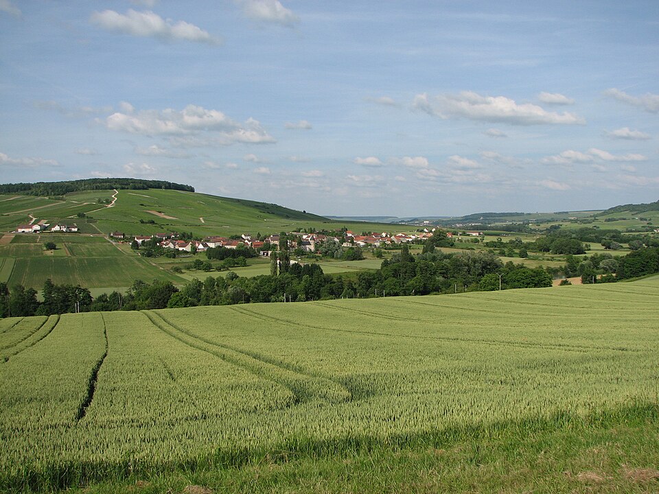 Passy — sur — Marne vue de Reuilly