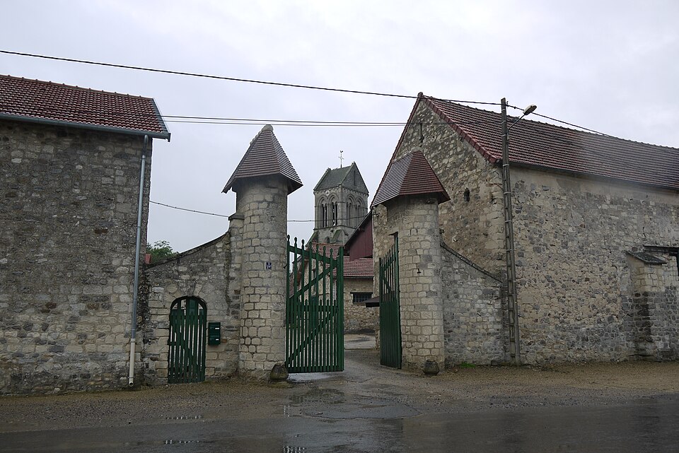 Vestiges du château de Saponay 6