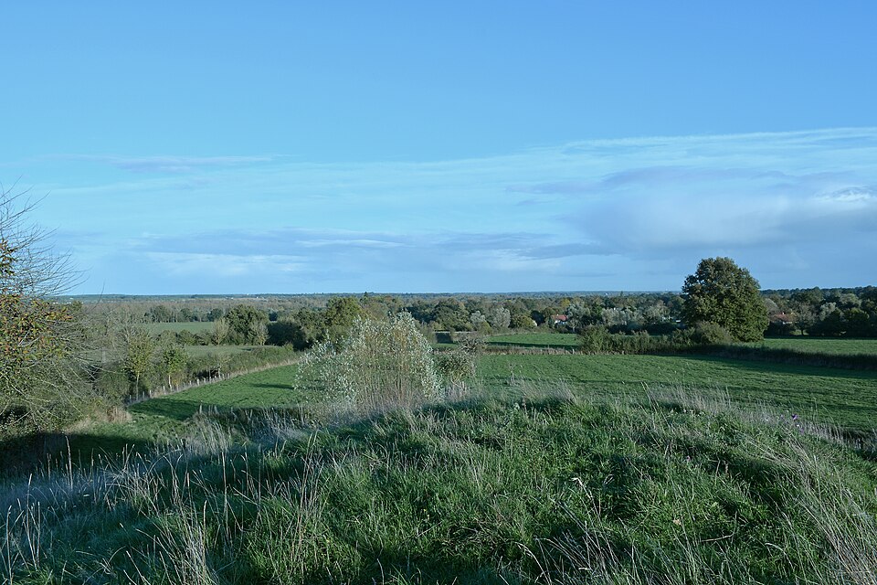 Site de Belleperche 1