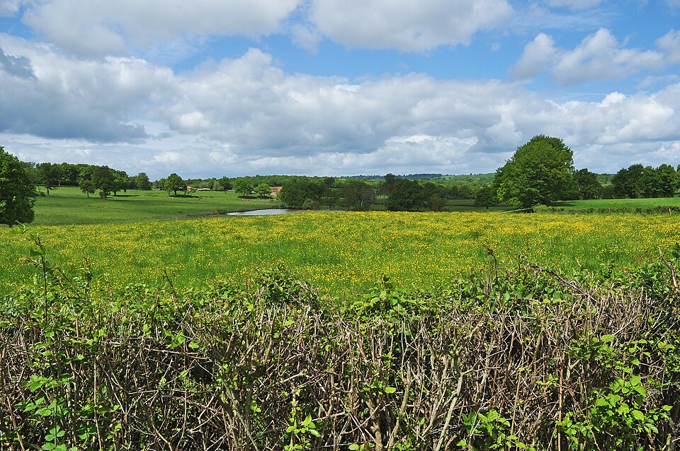 Bocage COUZON Allier Bourbonnais