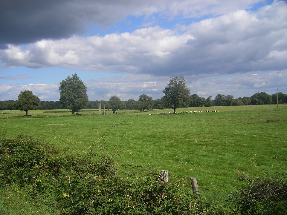 FR — 03 — Landscape