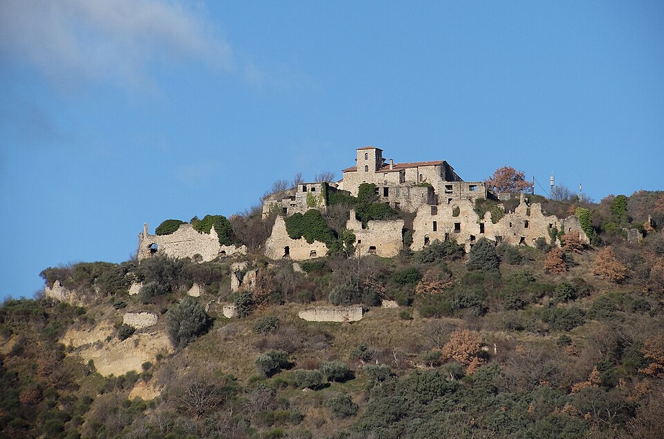 Vieux Bradasse