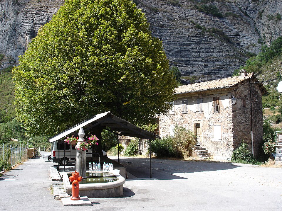 Faucon du Caire