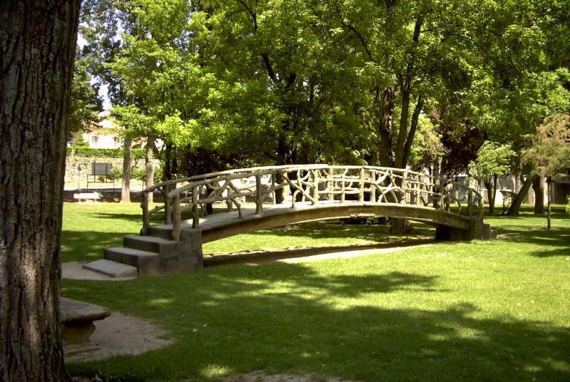 Pont Petrifie 04220