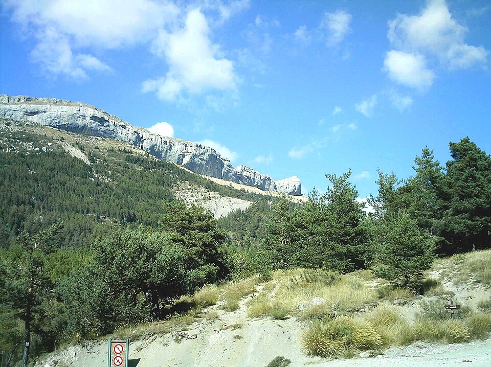 ChatNfOze002