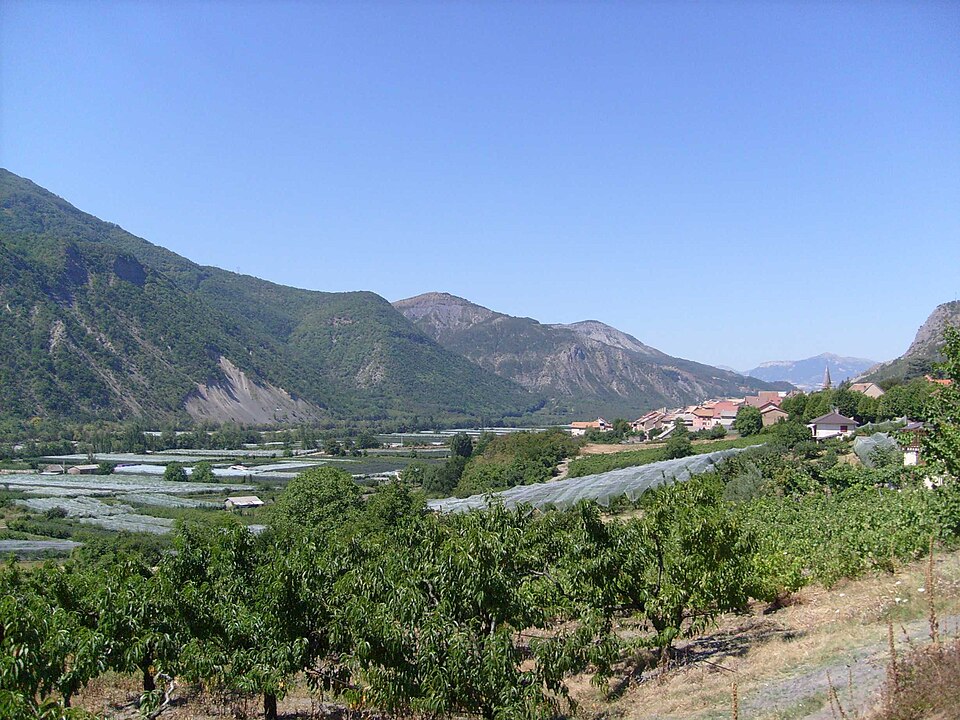 Remollon001