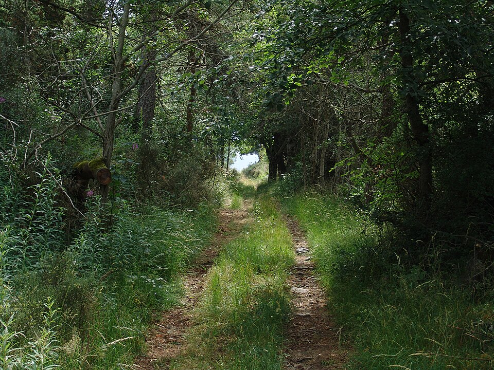 Sentier de grande randonnée à Saint — Alban — en — Montagne