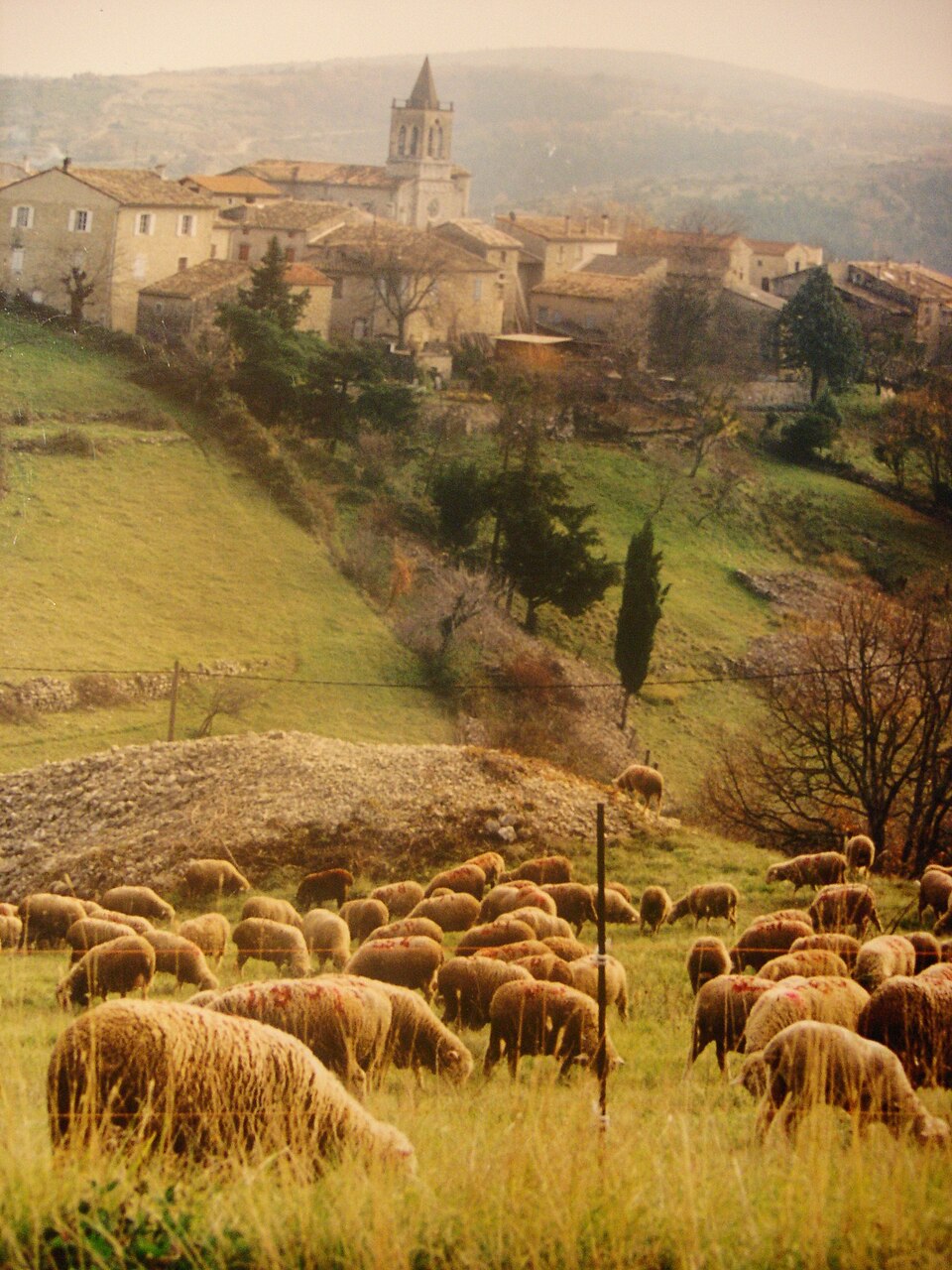 Saint — Andéol — de — Berg (Ardèche — France)
