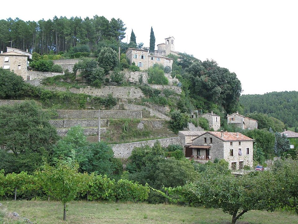 Vernon12