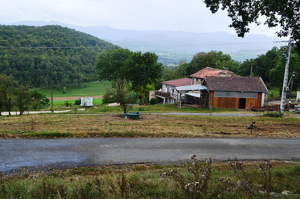 Allieres General View