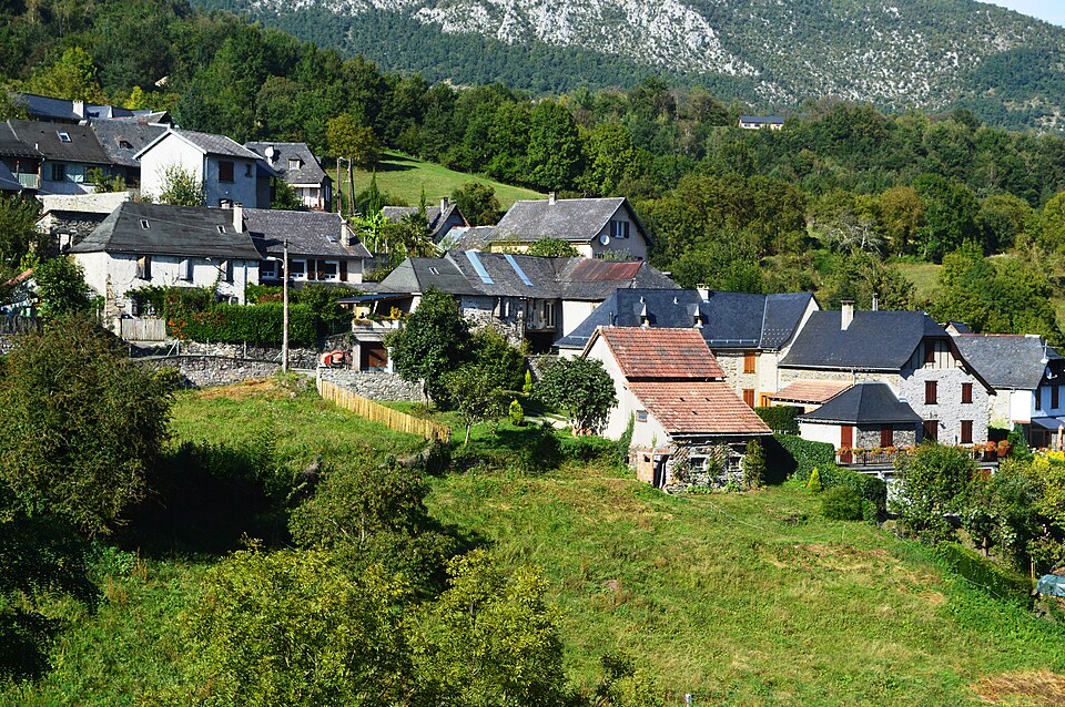 Arrout General View