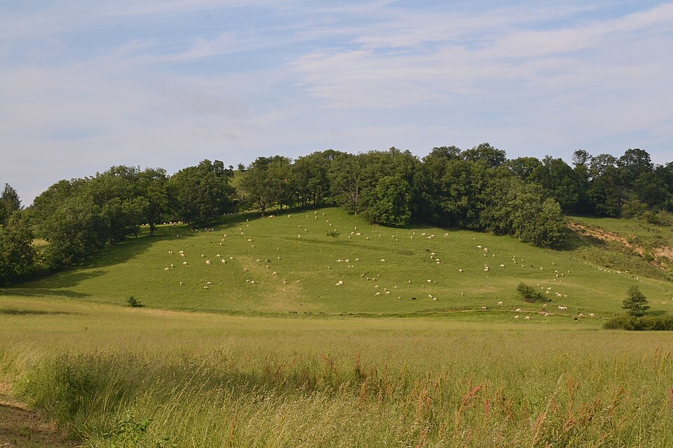 Colline de Régat