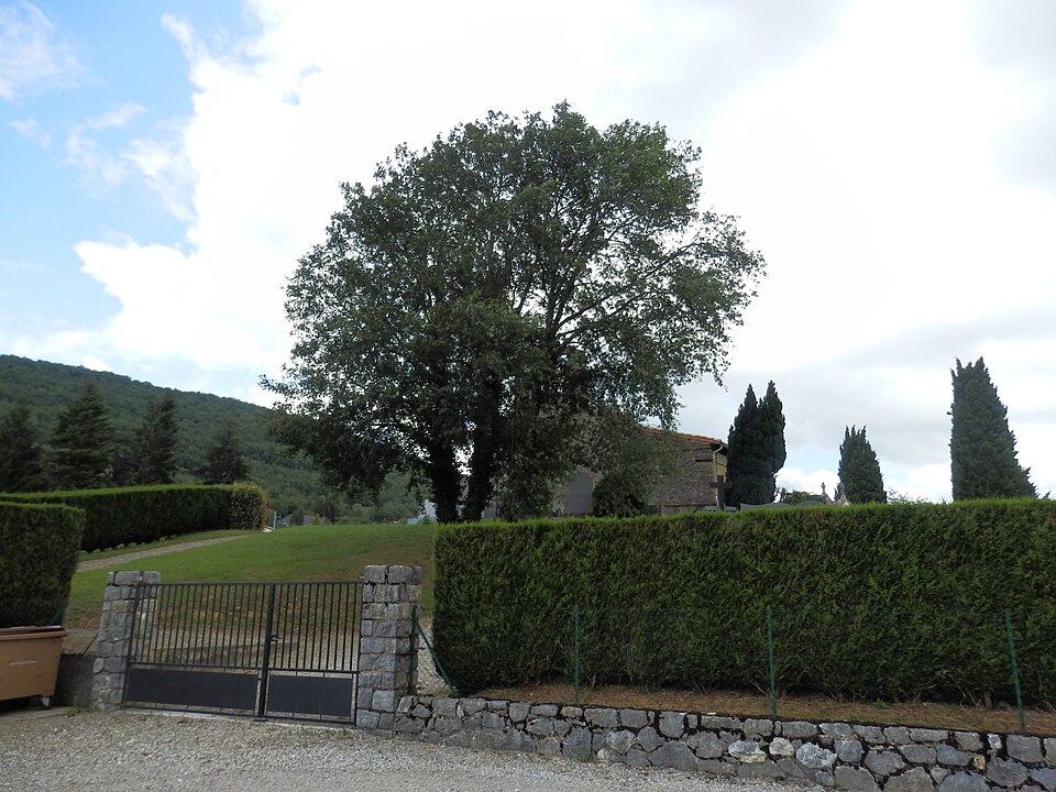 Saint — Jean — d'Aigues — Vives, Church