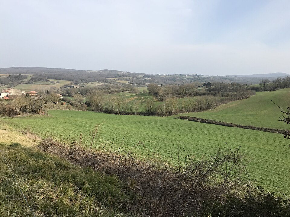 Saint — Julien — de — Gras — Capou, paysage