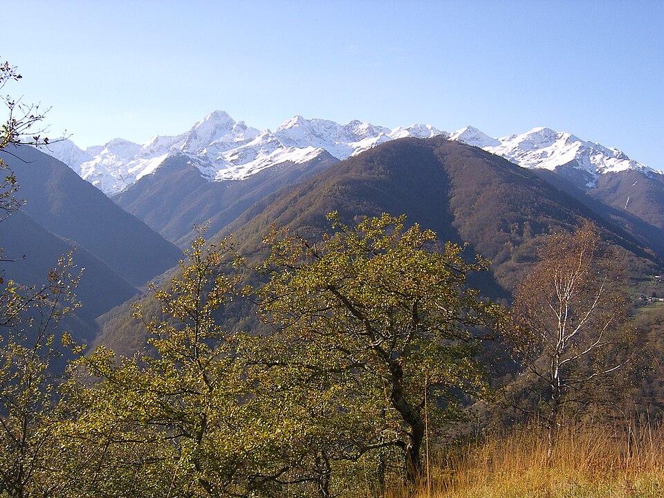 Mirabat