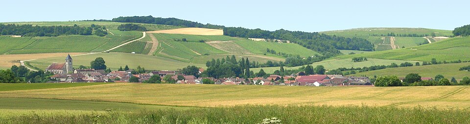 Panora champignol