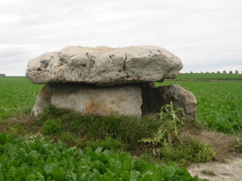 Marcilly le Hayer Dolmen du Vamprin juin 2007 01