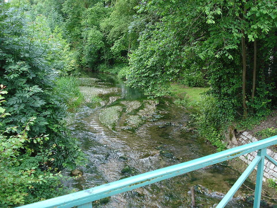 L'Arce à Merrey — sur — Arce (Aube,Fr)