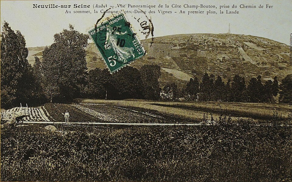 Neuville sur seine cote champ bouton 05315