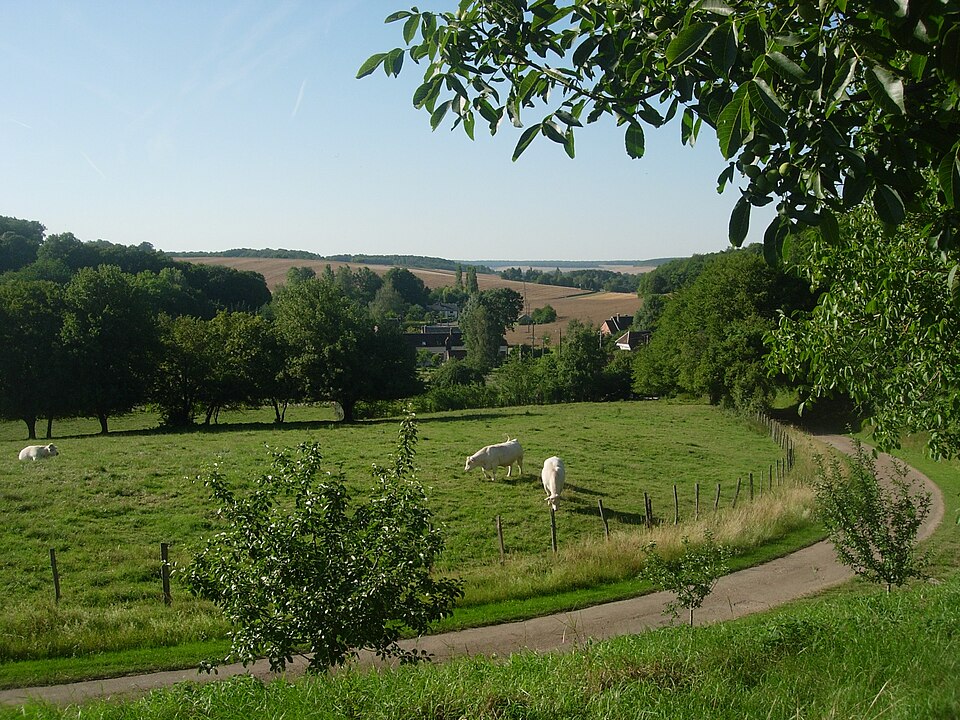 Nogent — en — Othe (13)