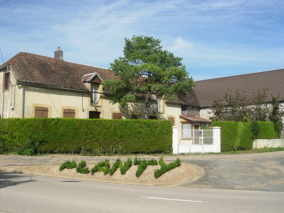Planty (2)