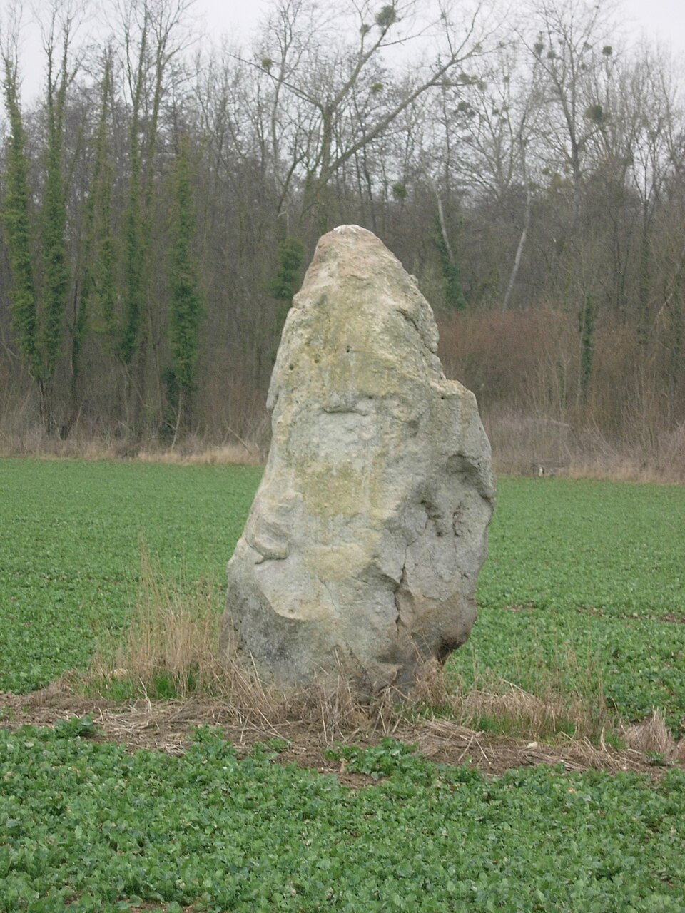 Saint — Aubin la Haute Pierre