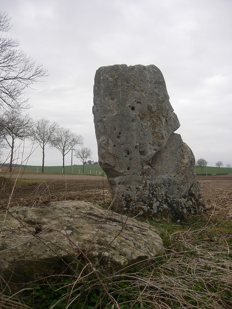 Soligny — les — Etangs la Pierre au coq et le polissoir 03