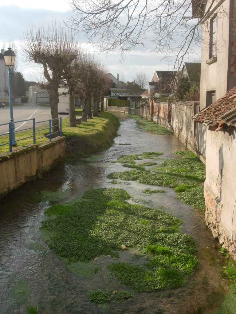 Vue de Vendeuvre-sur-Barse