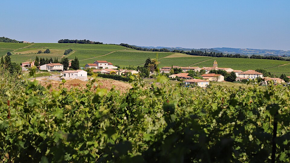 Gaja et Villedieu
