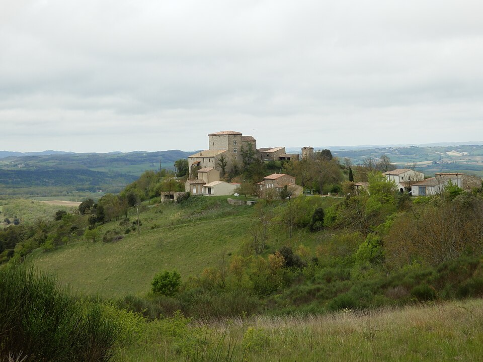Monthaut — 2019 (3)
