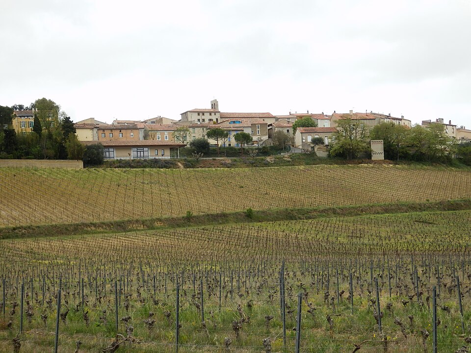 Pauligne — 2019 (1)