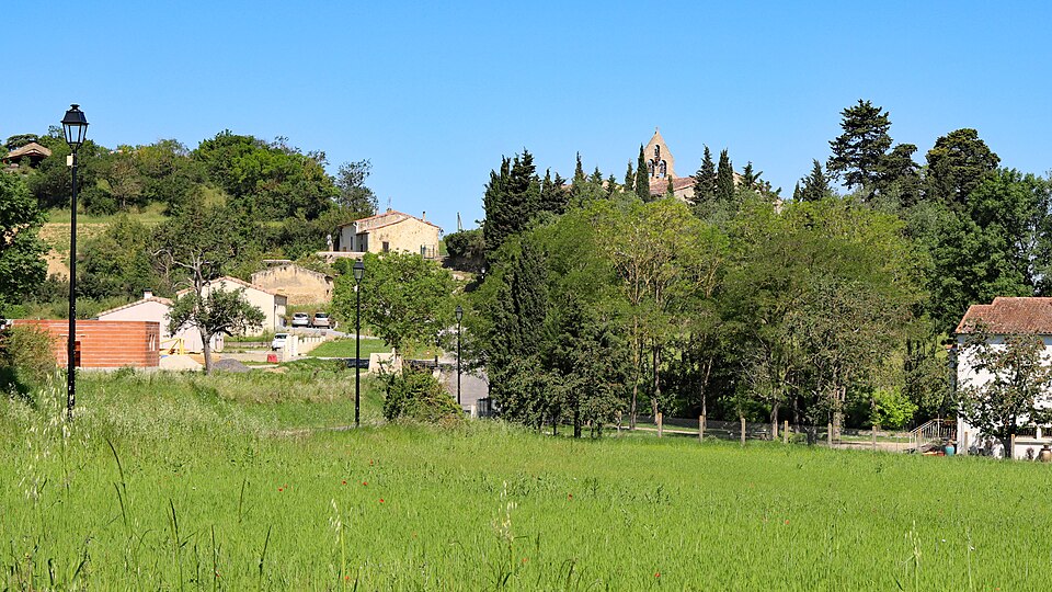 Ste Camelle (1)
