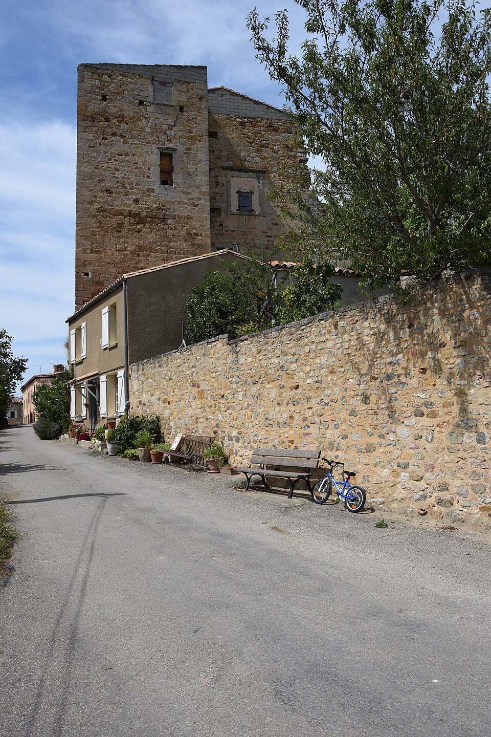 Castle of Saint — Ferriol002