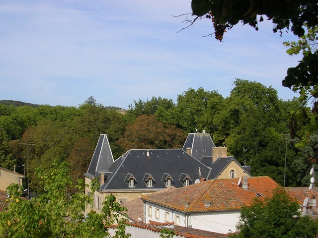Vue du château du haut du village