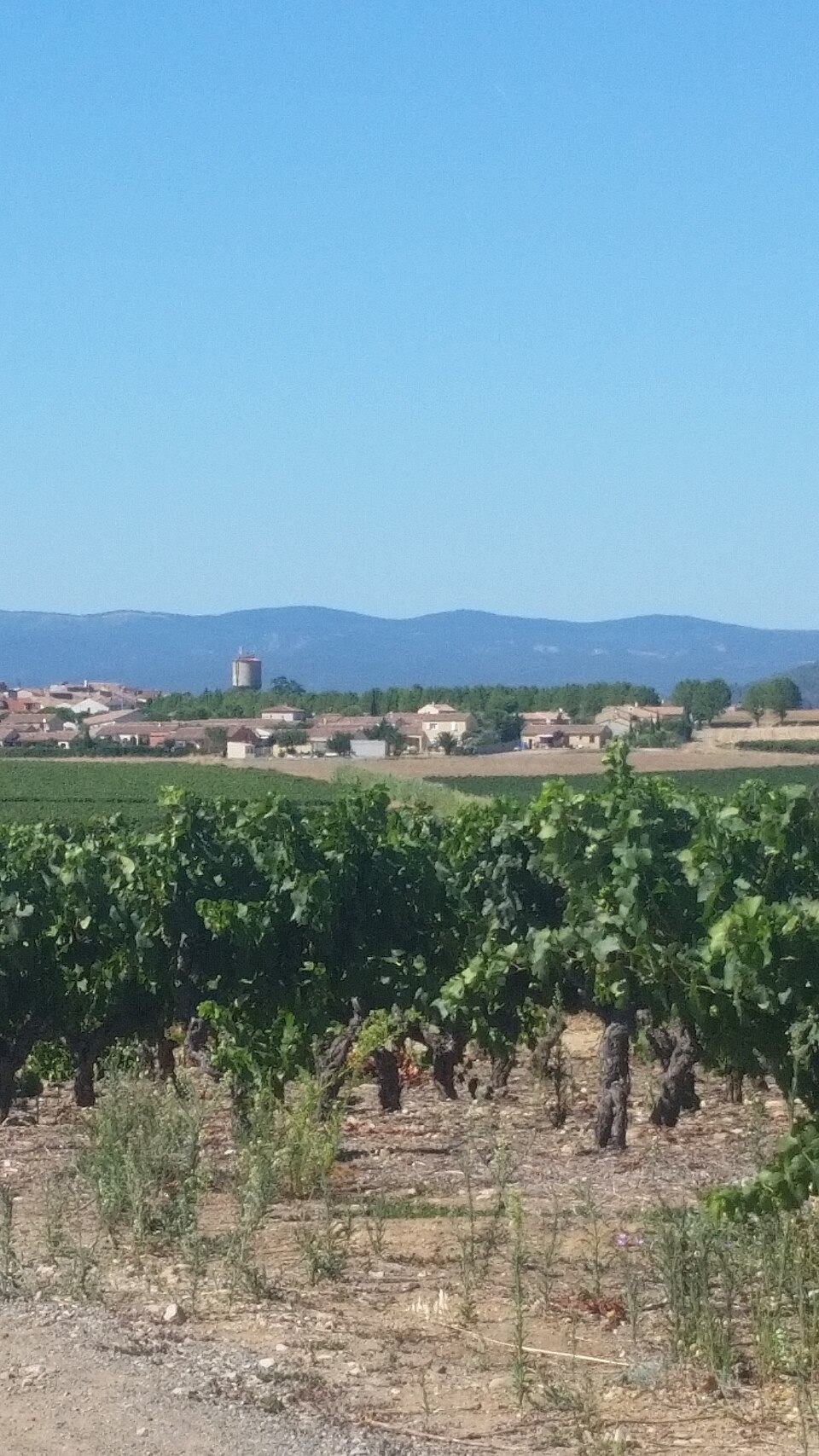 Sainte — Valière