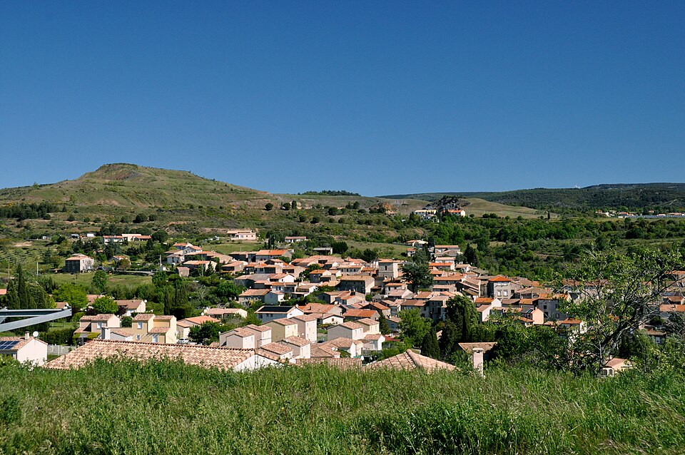 Salsigne — vg1