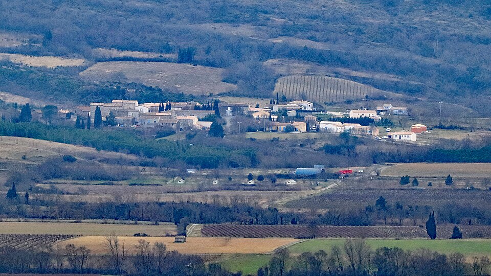 Taurize (4)