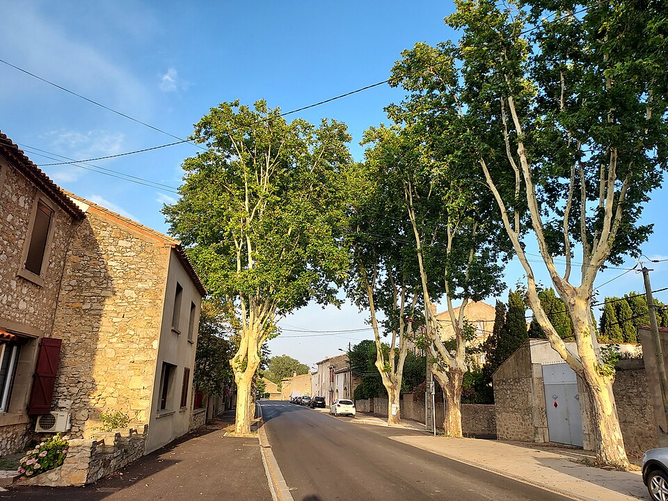 20230709 — Villedaigne — Route de Canet — 2