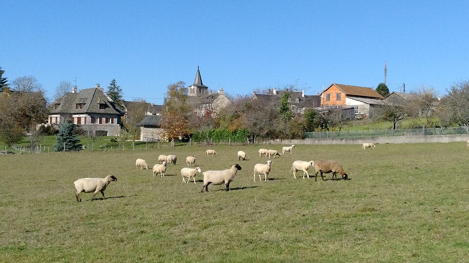 Le Nayrac Paysage