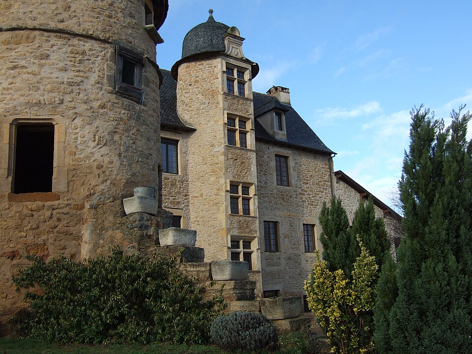 2009 Valzergues 7785
