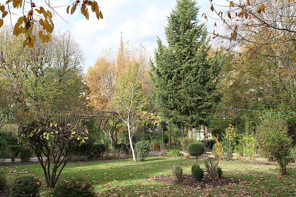 Pelissanne 20111112 04