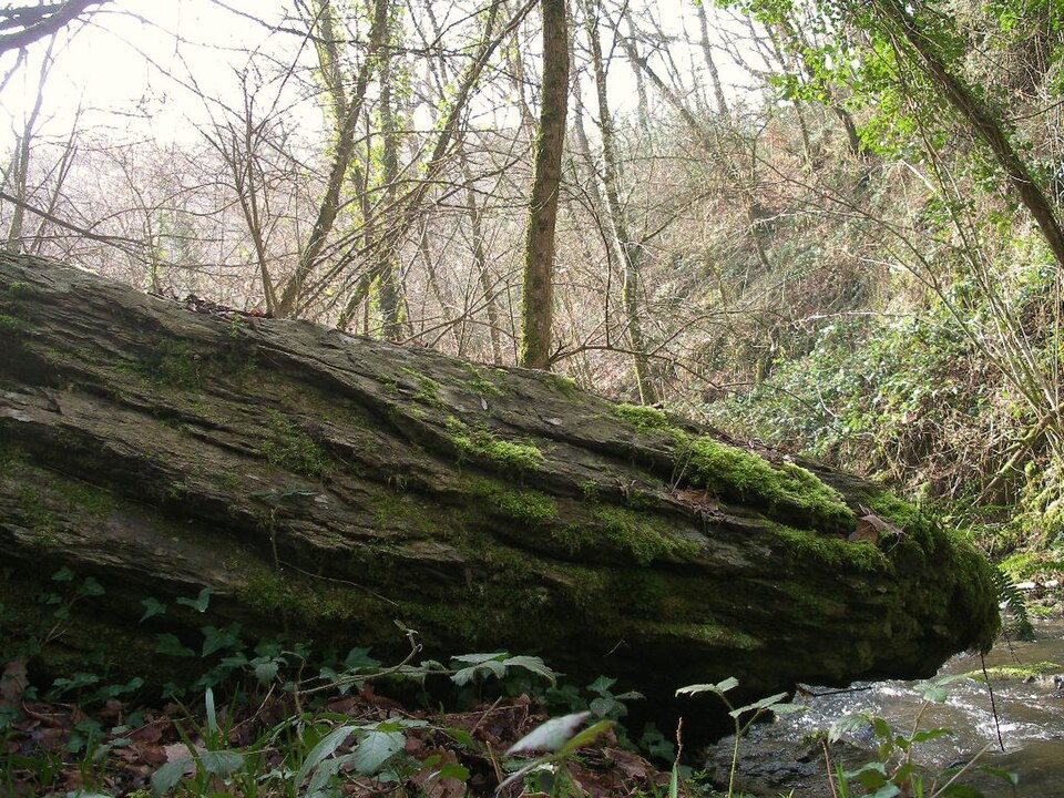 Menhir Culey2