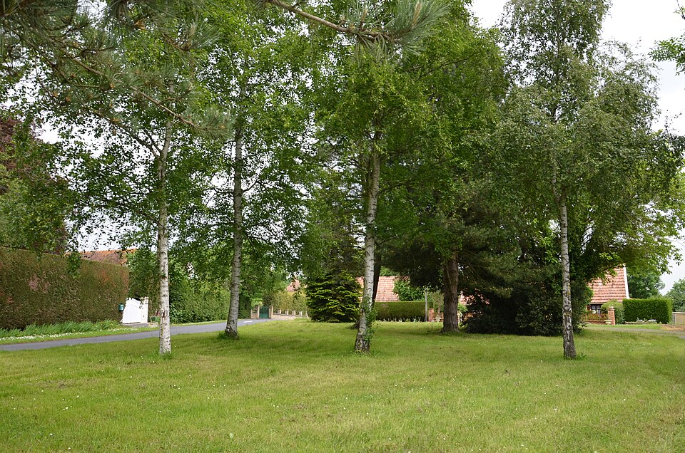 Janville (Calvados) — Les Bruyères de Calleville