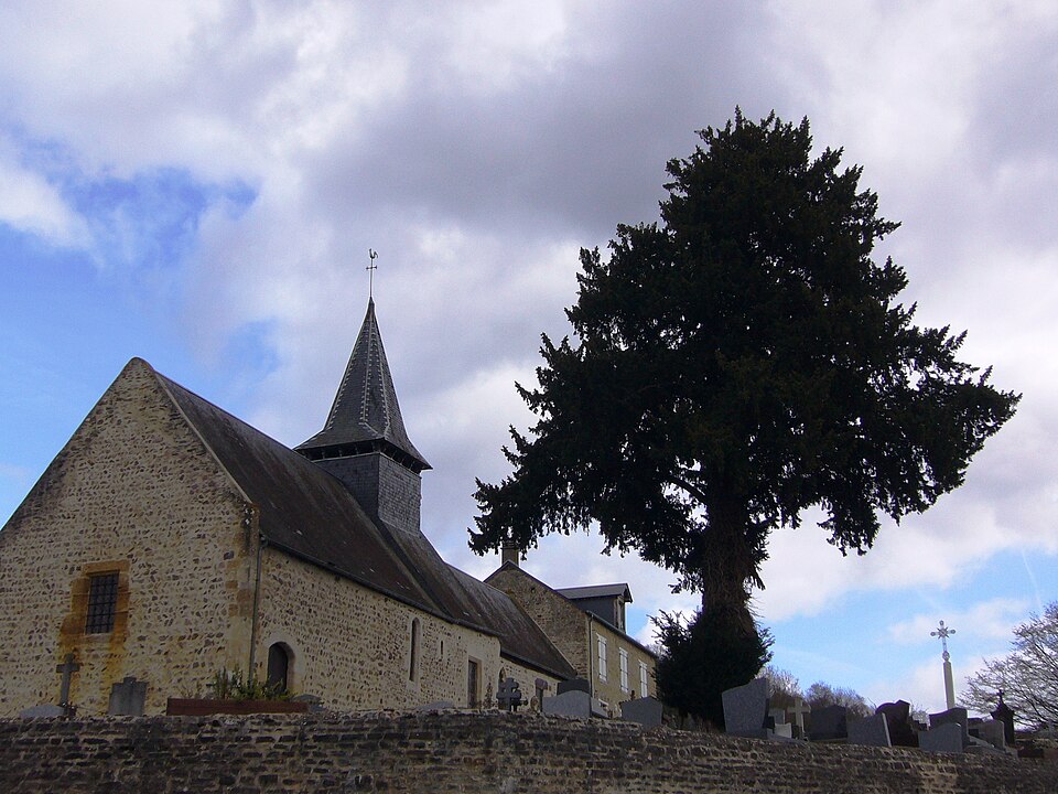 Eglise Saint — Laurent du Vey (Calvados) et if funéraire